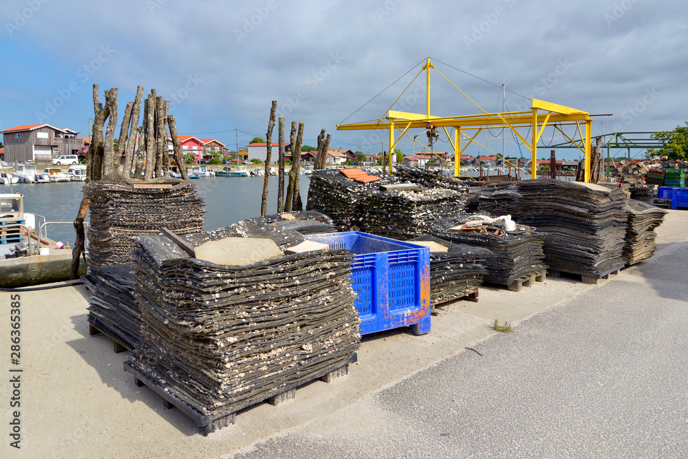 Obraz premium Oyster bags at ostreicole harbor of La Teste de Buch, commune is a located on the shore of Arcachon Bay, in the Gironde department in southwestern France.