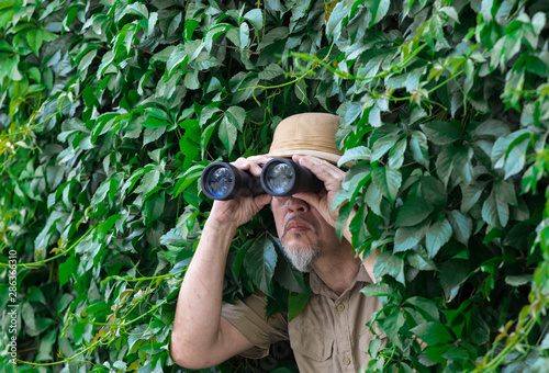 traveler looks through binoculars in the leaves