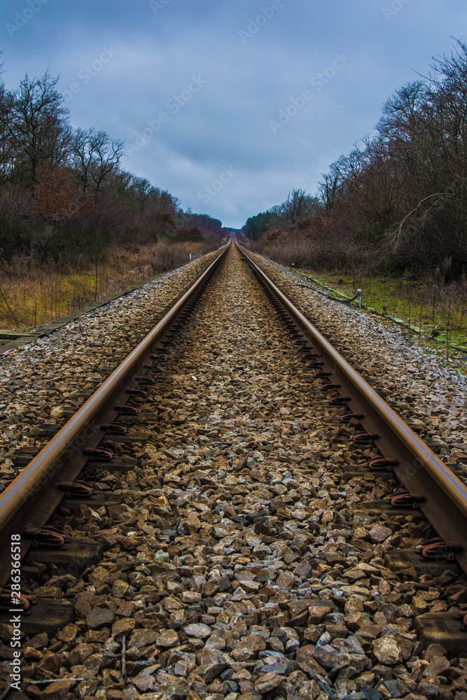 Fototapeta premium Straight railway in a park between trees