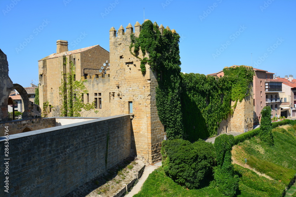 Château Médiéval Olite Navarre Espagne