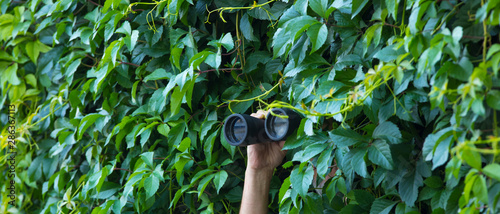 Obraz na płótnie man looks through binoculars in the leaves
