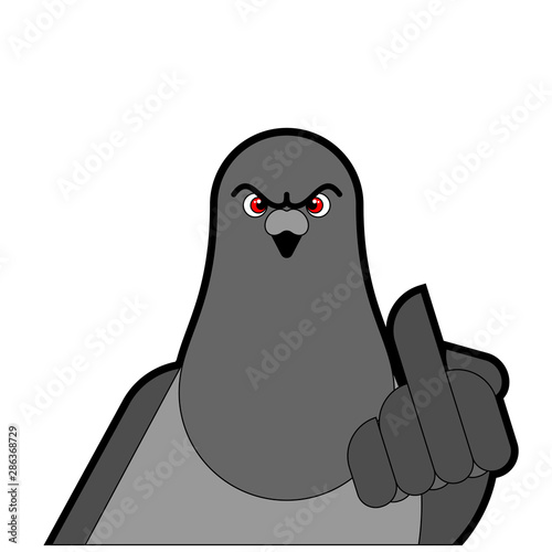 Pigeon shows fuck. Angry dove. Aggressive City Bird. vector illustration