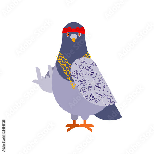 Pigeon gangster. Cool City bird. SWAG gangsta. Pigeon guy rapper