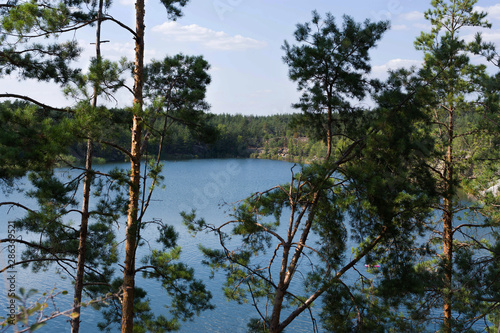 Pine forest around the lake. Korostyshiv career in Ukraine photo