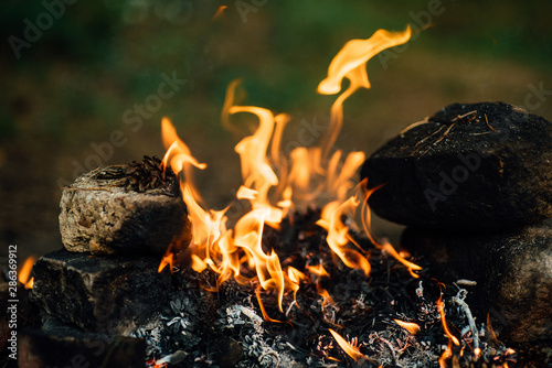 Burning wood in fireplace. Bonfire in the forest with smoke. Arson or natural disaster. Fire in the nature.