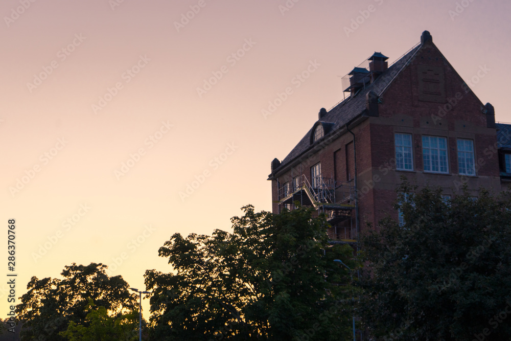 A house on the top of a tree during a sunset A house on the top of a tree during a sunset