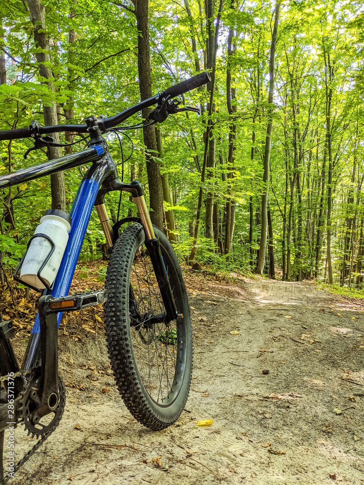 MTB bicycle on the trail in the summer season MTB bicycle on the trail in the summer season