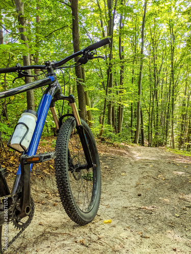MTB bicycle on the trail in the summer season