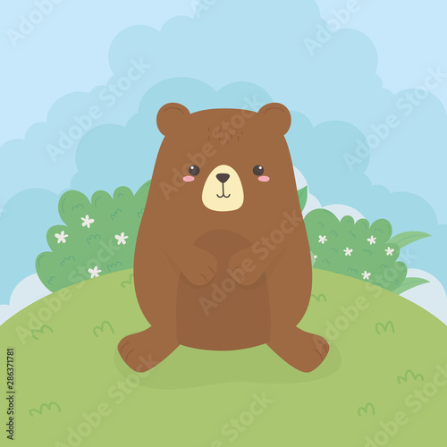cute bear teddy wild character