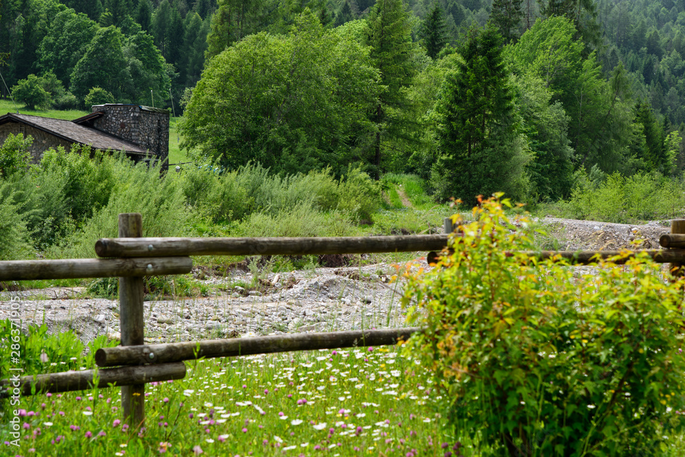 an idyllic scene from a little mountain village, a wooden fence and green meadow in the foreground, and a farmhouse with the pine trees in the background