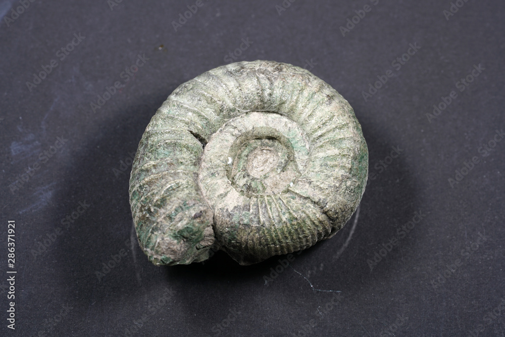 As healing stones or health stones inorganic or fossil substances, especially minerals are called, which are said to have a healing effect in diseases or to improve the condition. As healing stones or health stones inorganic or fossil substances, especially minerals are called, which are said to have a healing effect in diseases or to improve the condition.