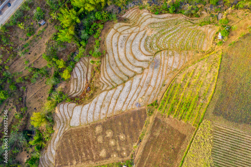 Rice Terraces, Cabagna-an Mansalanao, La Castellana, Neg. Occ., Philippines