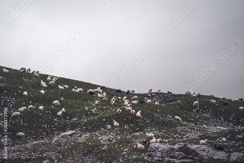 On the way to the top of a mountain photo