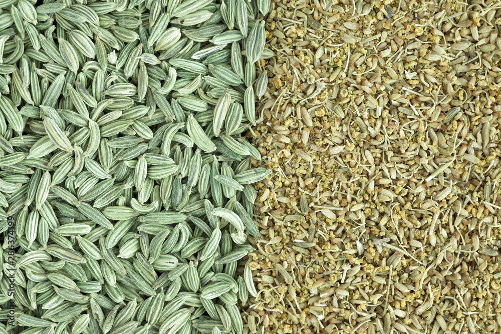 Fennel Seeds and Pollen Fennel Seeds and Pollen