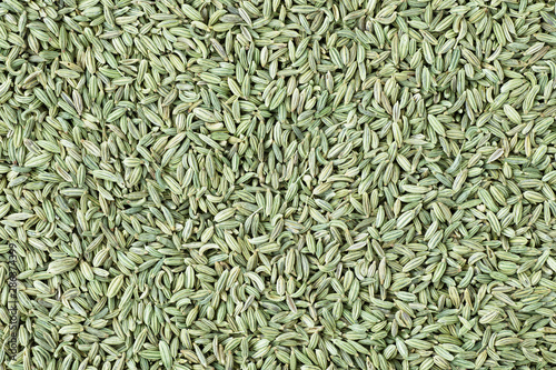 Fennel Seed Texture