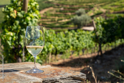 Φωτογραφία Glass of white wine for tasting above the hillsides of the Douro valley in Portu