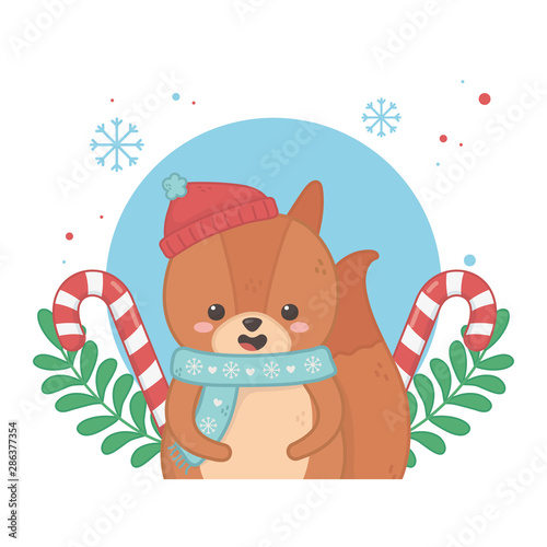 happy merry christmas card with chipmunk