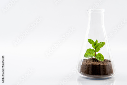 nature under protection in the form of organic breeding in glass