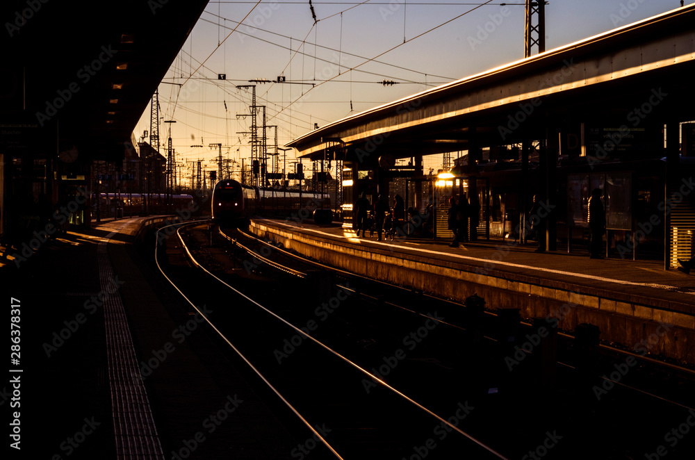 Fototapeta premium Train arrives to the station at the evening