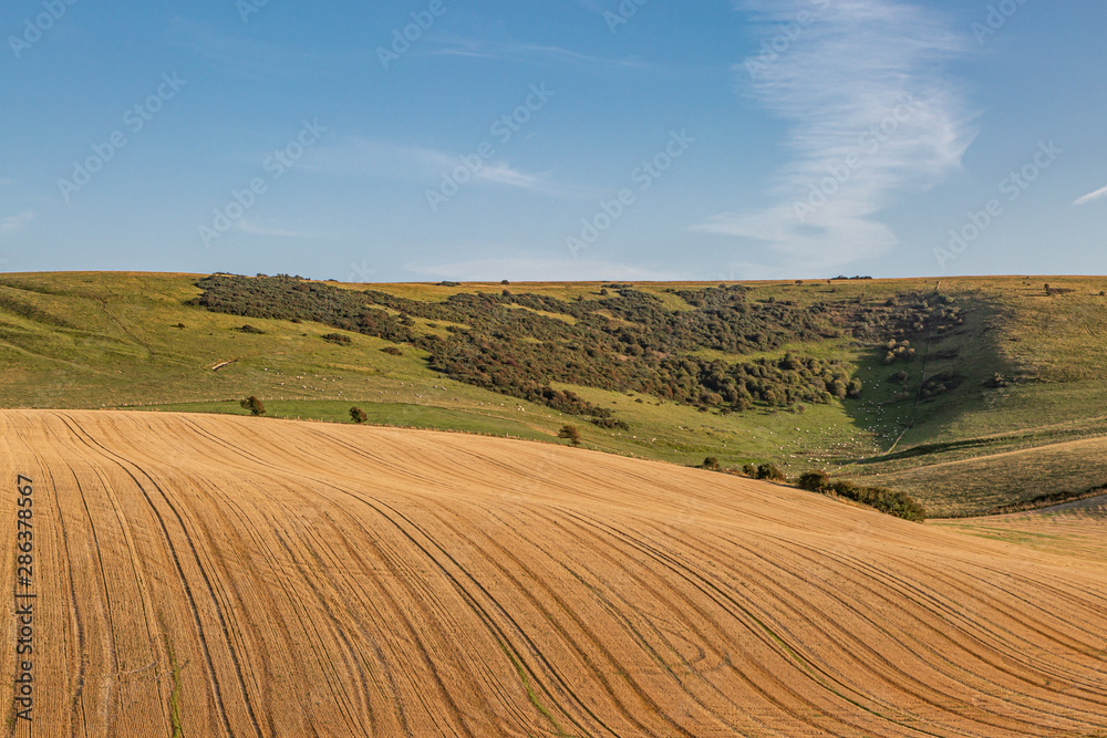 A rolling Sussex landscape on a sunny summers evening