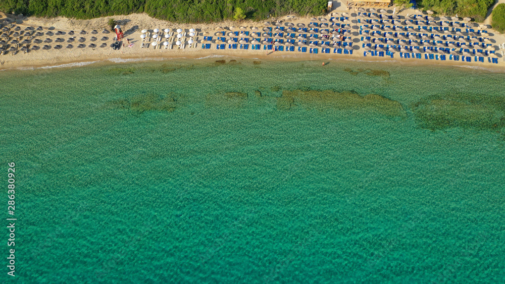 Aerial drone view of iconic sandy turquoise organised with sun beds and umbrellas beach of Paliouri in Kassandra Peninsula, Halkidiki, North Greece