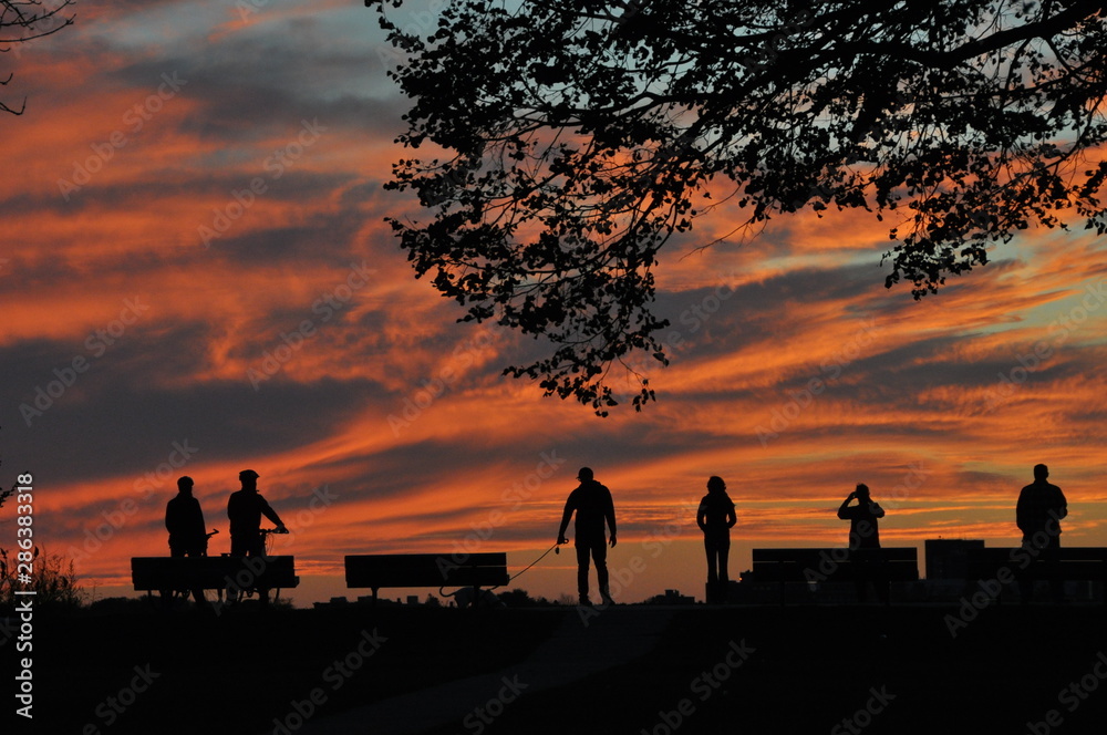 Orange Sunset Watchers in Silhouette