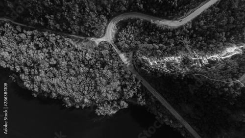 Two path intersecting in the middle of forest, shot from above, black and white.