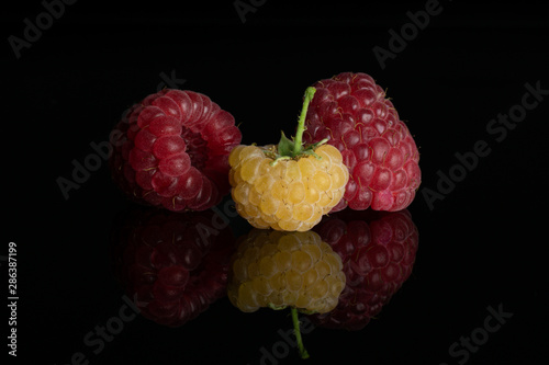 One whole fresh golden hymalayan raspberry with two red berries isolated on black glass photo