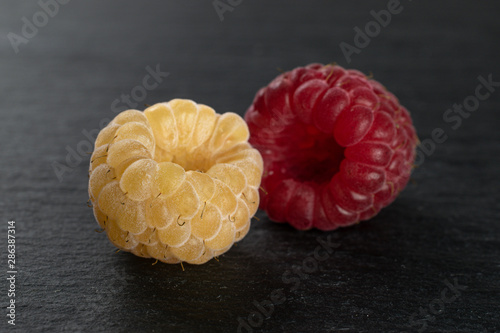 One whole fresh golden hymalayan raspberry with one red berry on grey stone photo