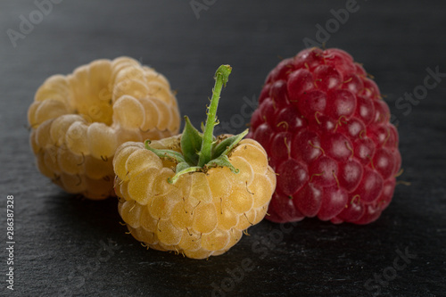 Group of two whole small fresh golden hymalayan raspberry with one red berry on grey stone photo