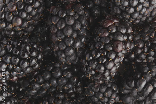 texture with blackberry closeup, background of berries, horizontal frame