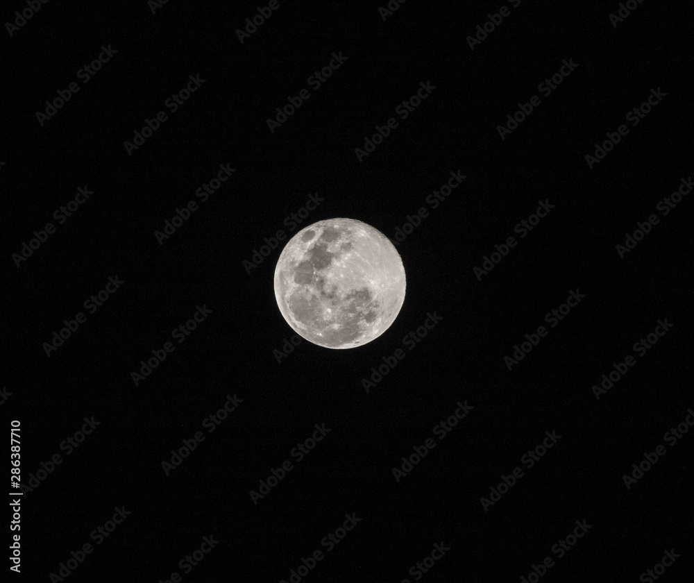 Fototapeta premium luna