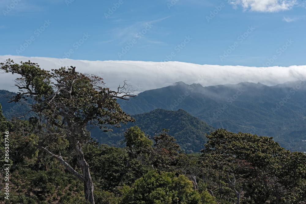 cloud forest in the north of the small town of Boquete in the province of Chiriqui Panama