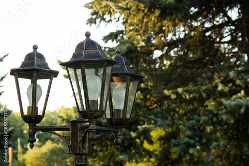 lantern with three lamps in the park near big tree, green nature background