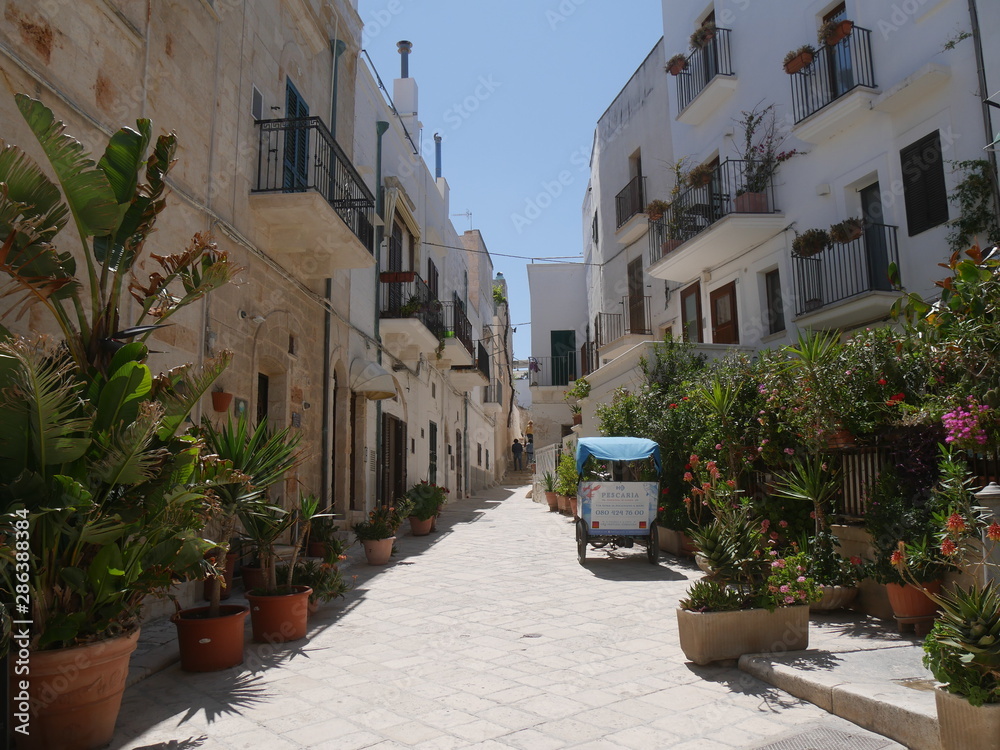 Obraz premium Polignano, white streets : they slope down to the sea with balconies, wooden shutters and colorful flower boxes. On the walls there are handwritten phrases of celebrities.