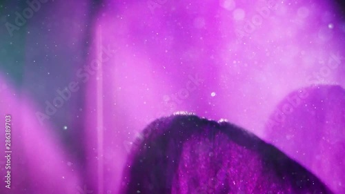 Magenta 72349