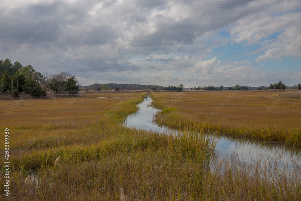 coastal marsh view along the atlantic ocean in lewes sussex country in ...