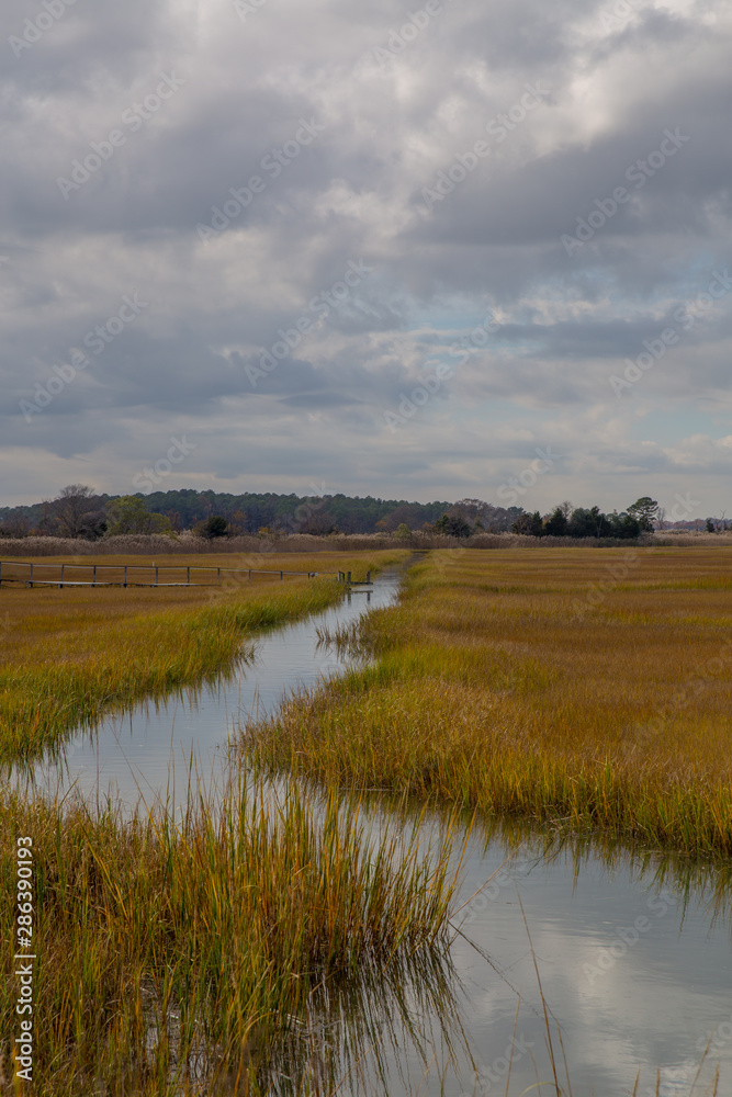 coastal marsh view along the atlantic ocean in lewes sussex country in southern delaware usa