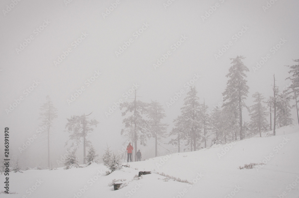 Skiing in Jeseniky mountains, typical misty weather on the top Skiing in Jeseniky mountains, typical misty weather on the top