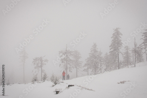 Skiing in Jeseniky mountains, typical misty weather on the top