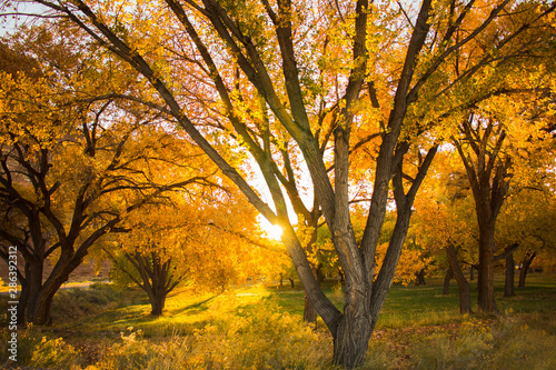 Autumn in Capitol Reef