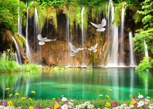 Peel and stick wall murals 3d nature wallpaper background and waterfall,  sea , seagulls wood bridge 