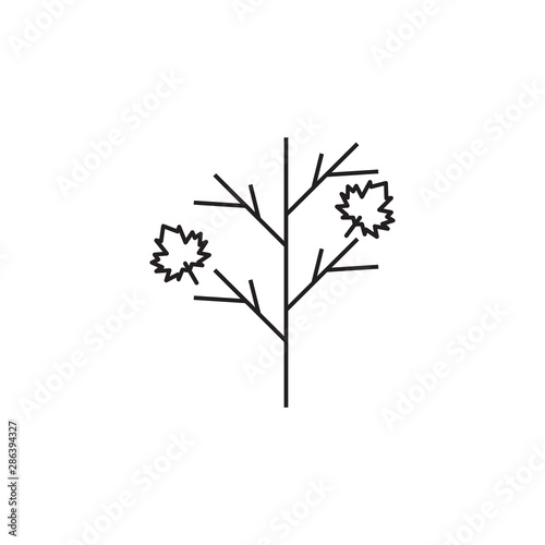 Branch leaf vector icon. Branch leaf vector illustration