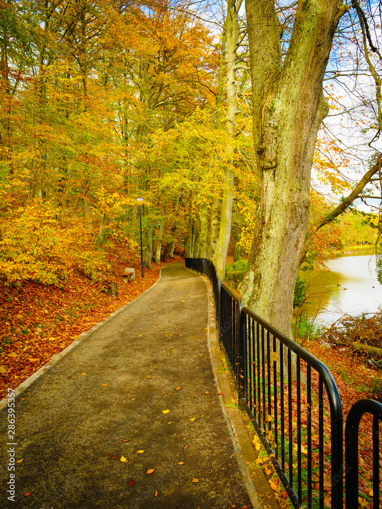 Naklejka premium Bridge in autumn park