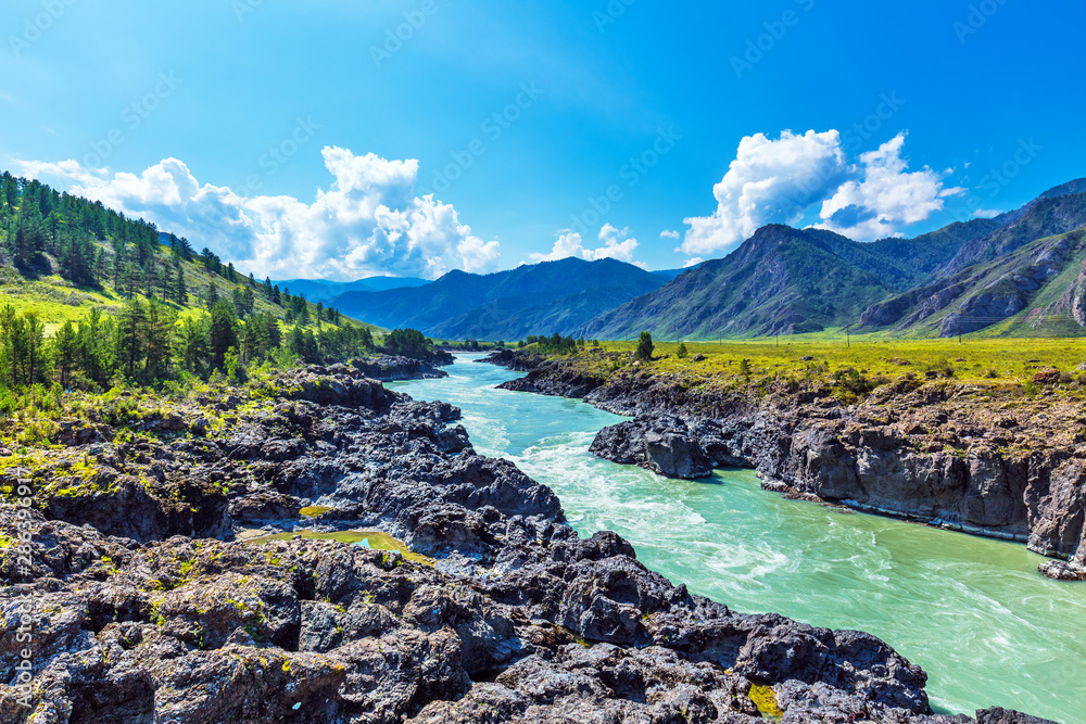 custom made wallpaper toronto digitalKatun river with rapids. Gorny Altai, Siberia, Russia