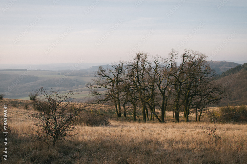 Obraz premium Sunrise on the top of Palava hills, frosty until the sun is up