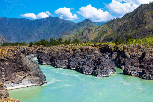 Katun river with rapids. Gorny Altai, Siberia, Russia