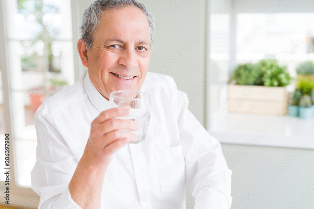 Handsome senior man holding a fresh glass of water and smiling Handsome senior man holding a fresh glass of water and smiling