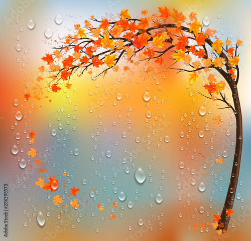 Autumn background with a tree and a colorful leaves and raindrops. Vector.