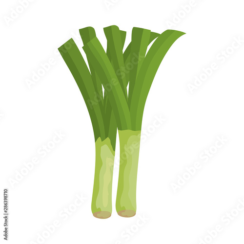 fresh branch onion vegetable nature icon
